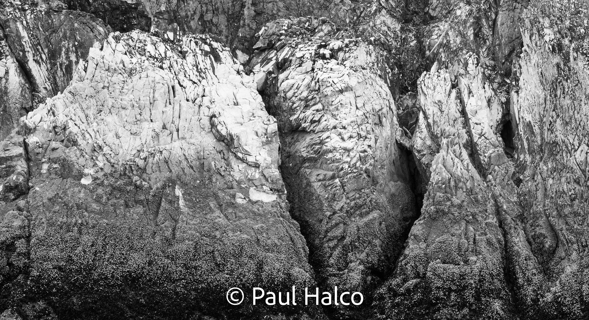 Paul Halco - Glacier Bay NP-20